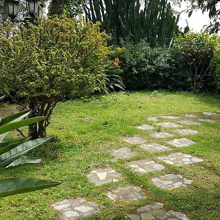 ベッド・アンド・ブレックファスト B&B Il Giardino Di Armida メッシーナ